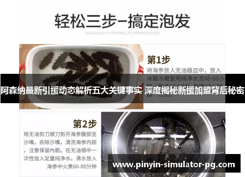 阿森纳最新引援动态解析五大关键事实 深度揭秘新援加盟背后秘密 阿森纳最新引援动态解析五大关键事实 深度揭秘新援加盟背后秘密