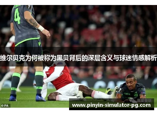 维尔贝克为何被称为黑贝背后的深层含义与球迷情感解析