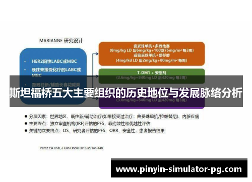 斯坦福桥五大主要组织的历史地位与发展脉络分析