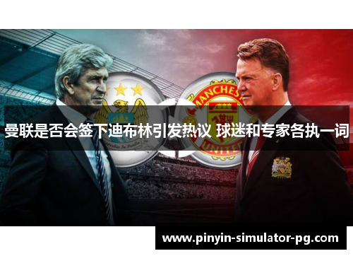 曼联是否会签下迪布林引发热议 球迷和专家各执一词