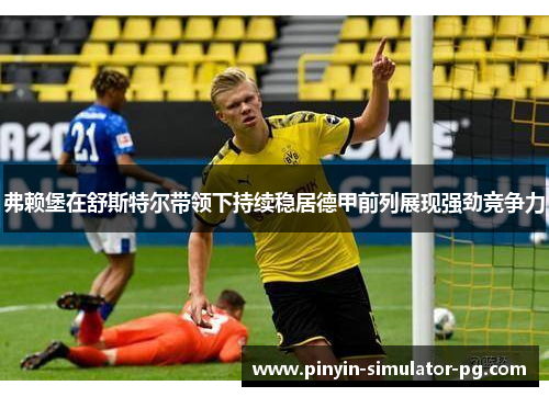 弗赖堡在舒斯特尔带领下持续稳居德甲前列展现强劲竞争力 弗赖堡在舒斯特尔带领下持续稳居德甲前列展现强劲竞争力
