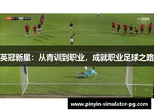 英冠新星：从青训到职业，成就职业足球之路