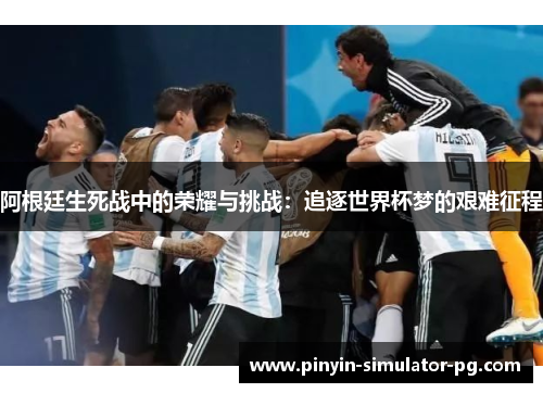 阿根廷生死战中的荣耀与挑战：追逐世界杯梦的艰难征程