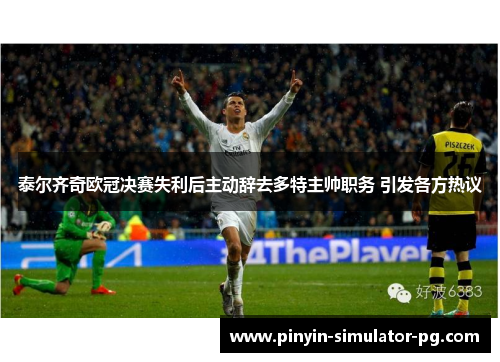 泰尔齐奇欧冠决赛失利后主动辞去多特主帅职务 引发各方热议